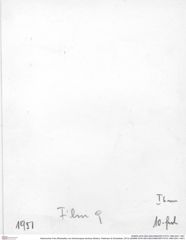 Historisches Foto (Rückseite) von Ambulocapsa sentosa (Robins, Feldmann & Schweitzer, 2013) (NHMW-AFW-GEO-BACHMAYER-FOTO-1990-0041-1951)